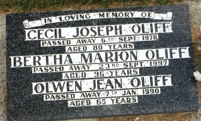 Plot Record Details